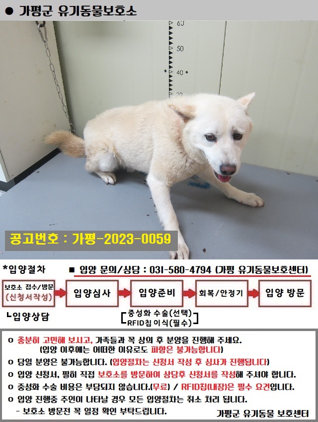믹스견 이미지 파일 입니다.