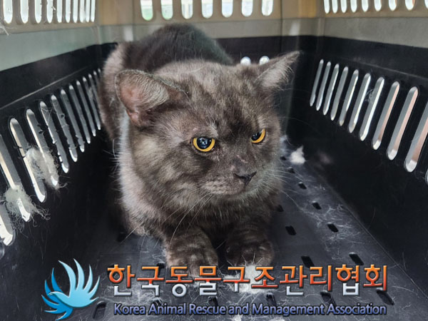 믹스묘 이미지 파일 입니다.
