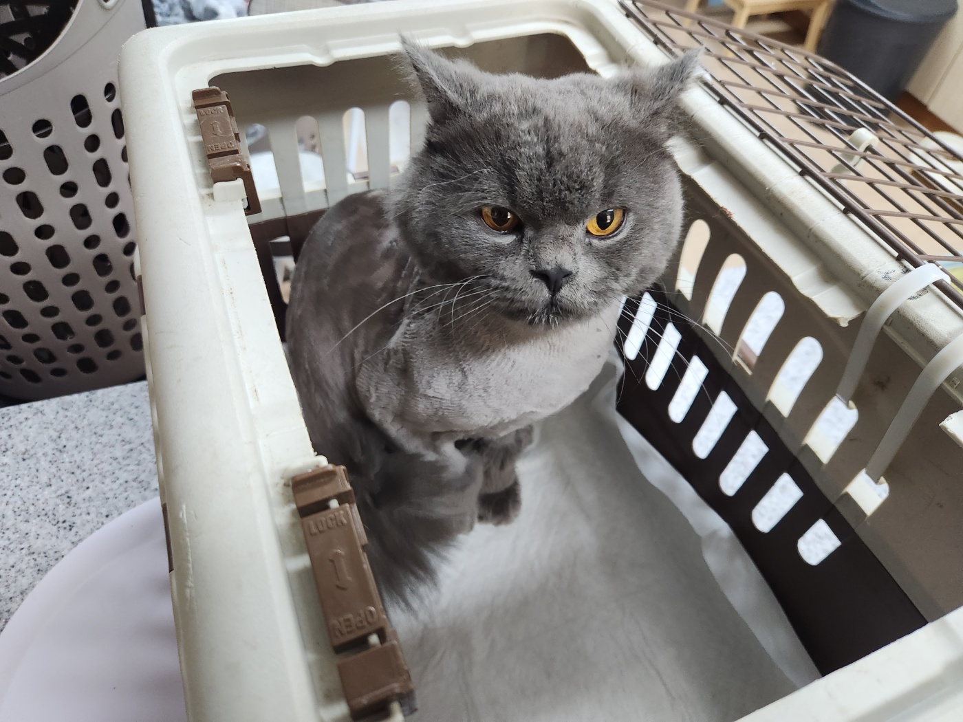믹스묘 이미지 파일 입니다.