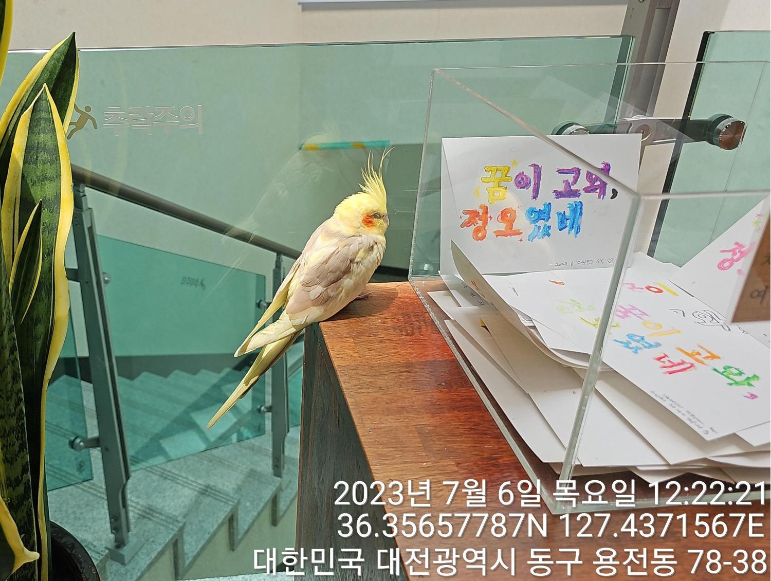 [기타축종] 왕관 앵무 이미지 파일 입니다.