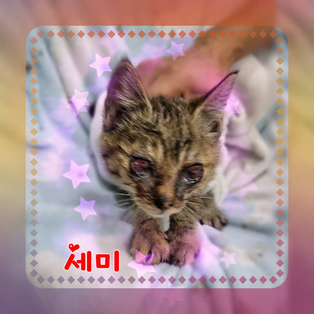 믹스묘 이미지 파일 입니다.