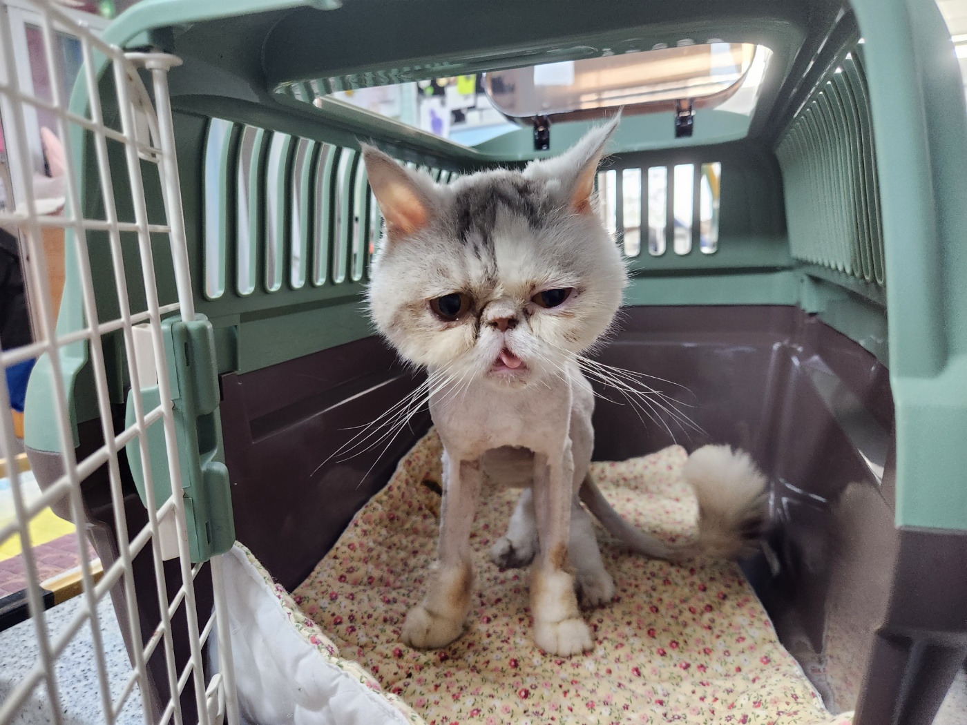 믹스묘 이미지 파일 입니다.