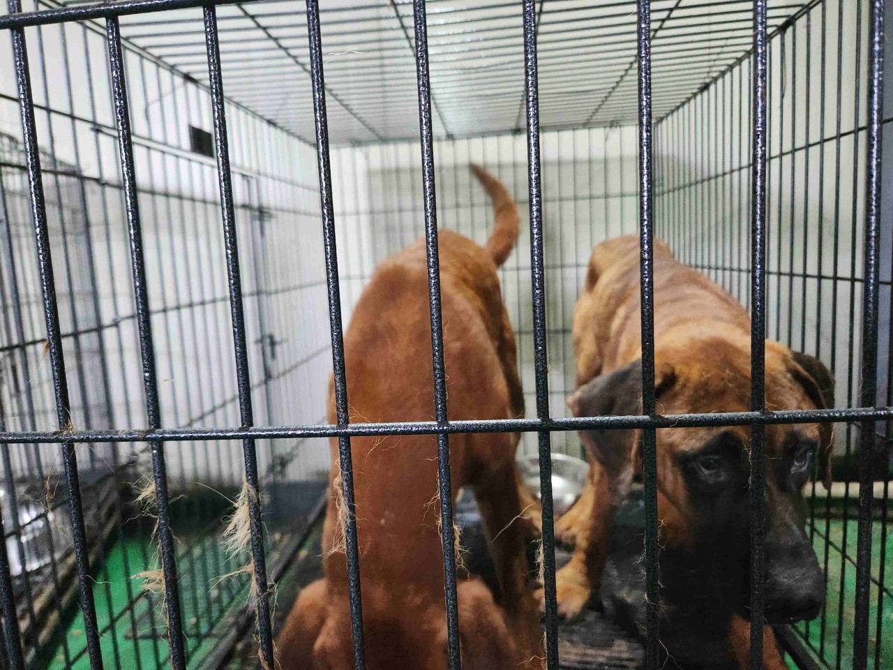도사 이미지 파일 입니다.