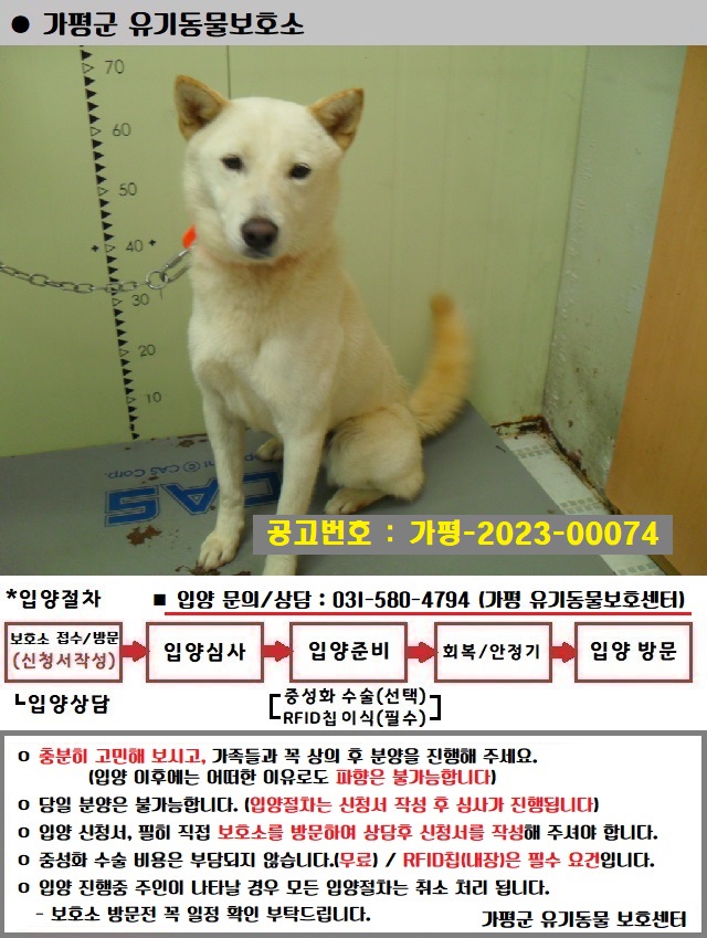 믹스견 이미지 파일 입니다.