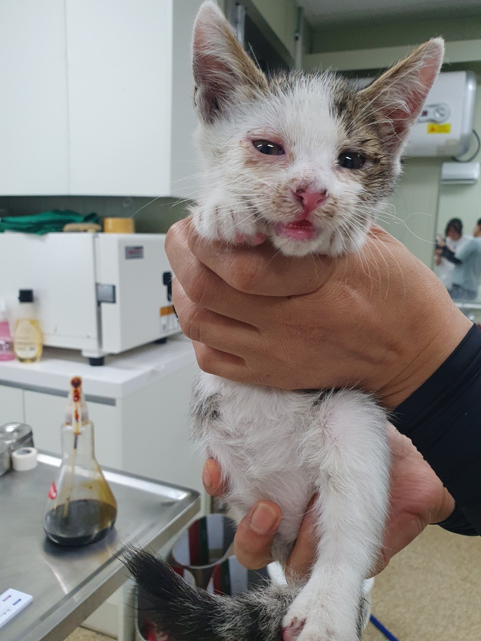믹스묘 이미지 파일 입니다.