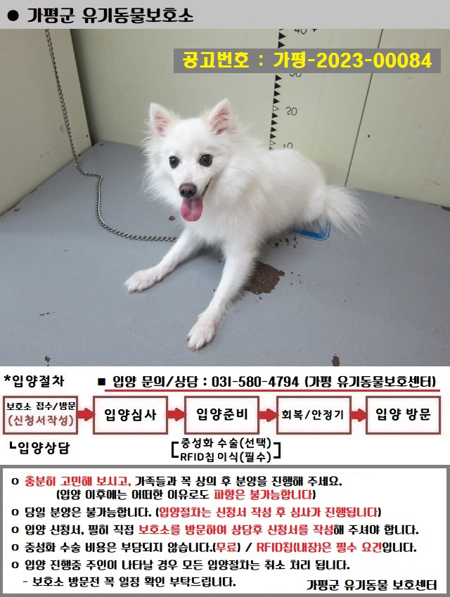 스피츠 이미지 파일 입니다.