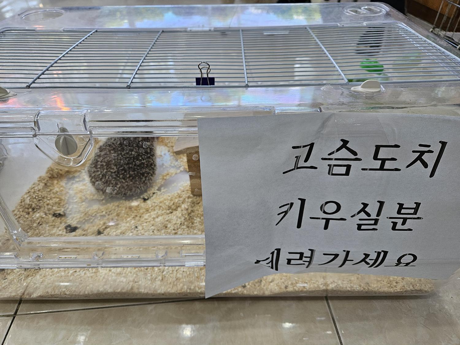[기타축종] 고슴도치 이미지 파일 입니다.