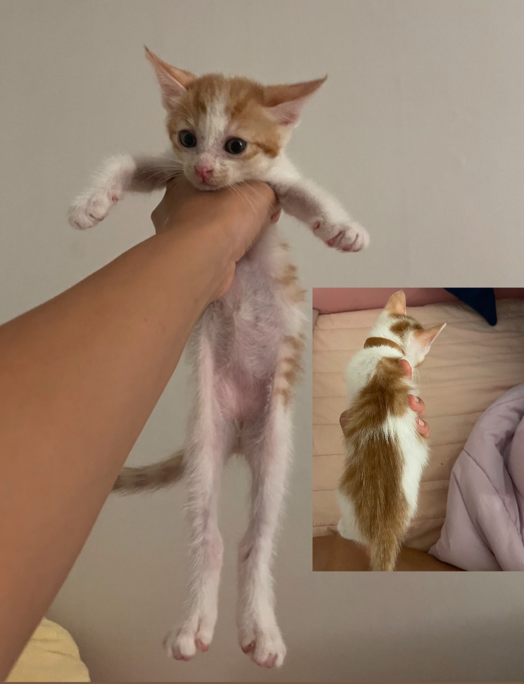 믹스묘 이미지 파일 입니다.