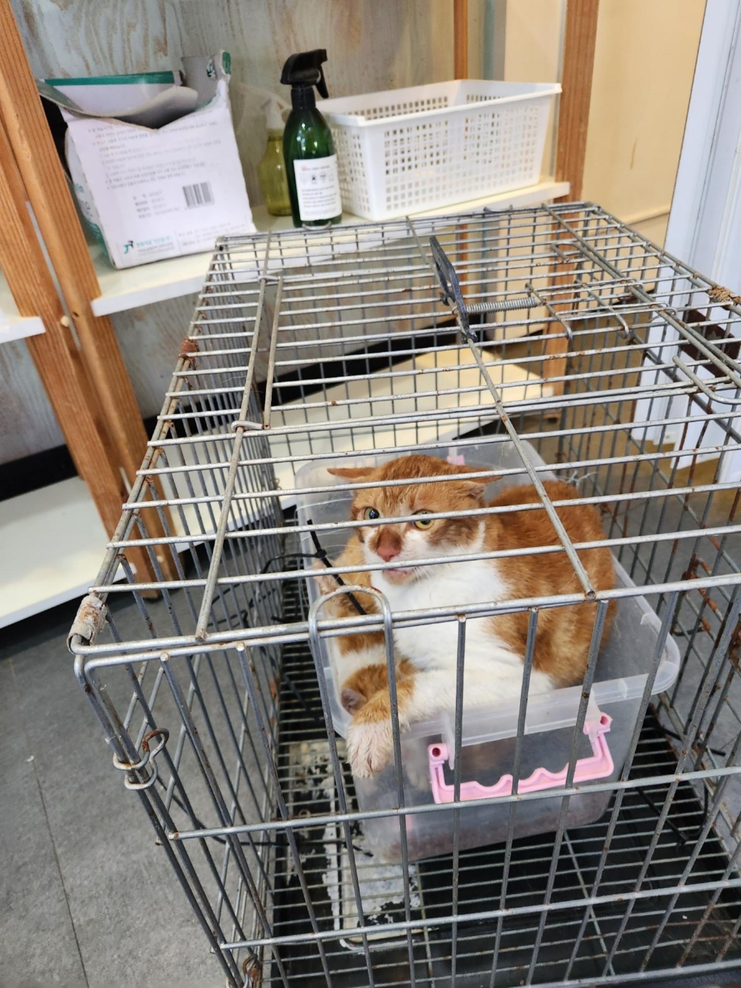 믹스묘 이미지 파일 입니다.