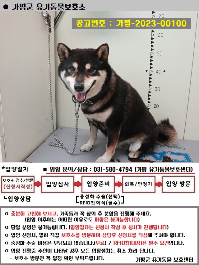 시바 이미지 파일 입니다.