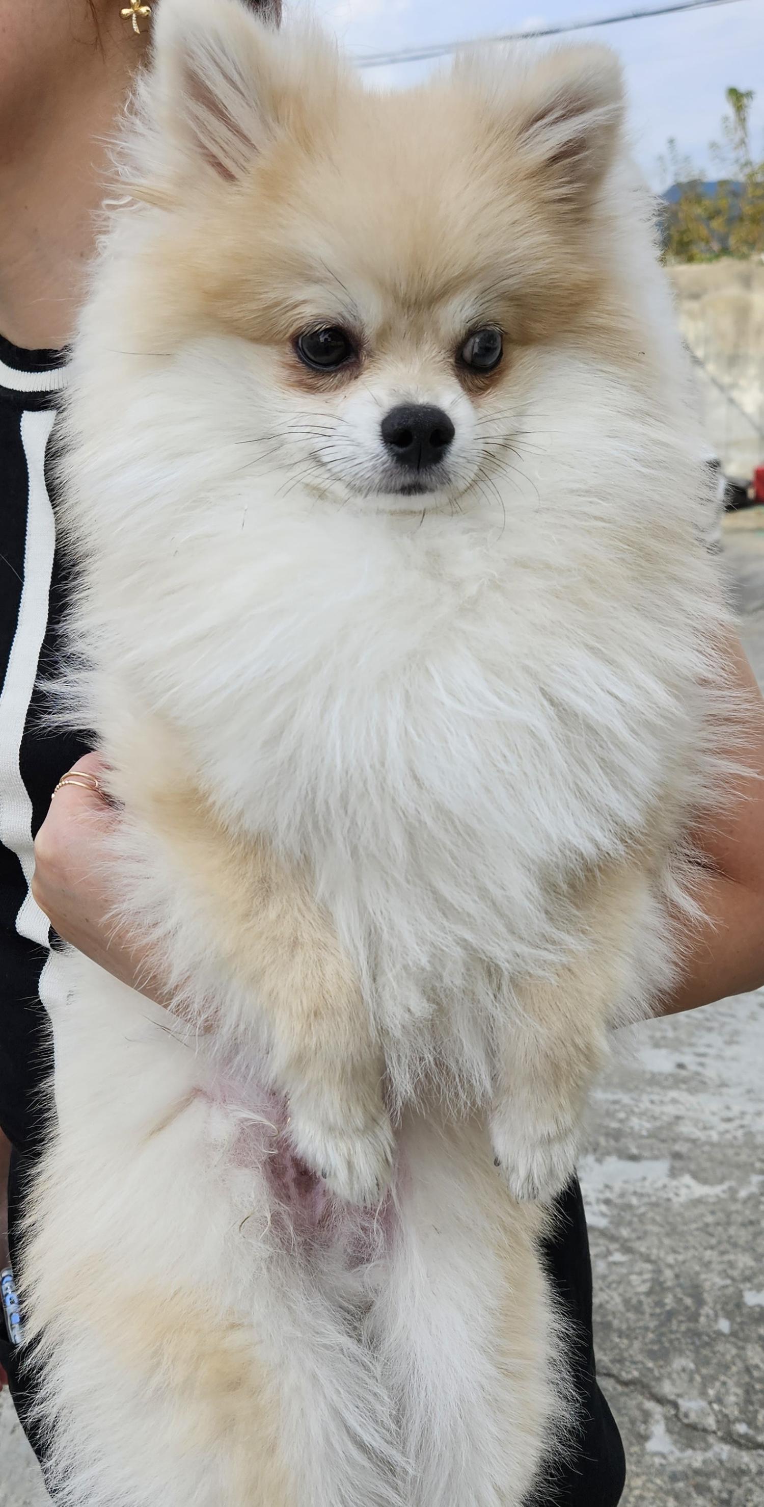 명밭골식당 이미지