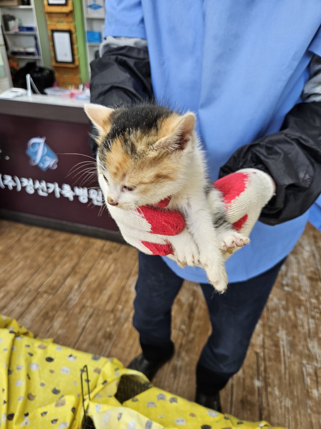 믹스묘 이미지 파일 입니다.