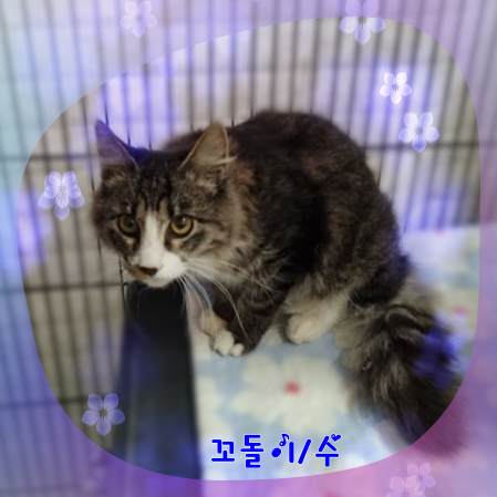 믹스묘 이미지 파일 입니다.