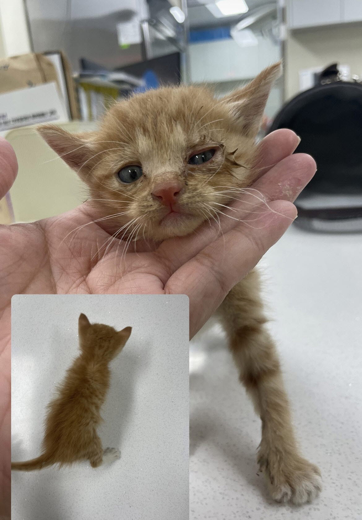 믹스묘 이미지 파일 입니다.