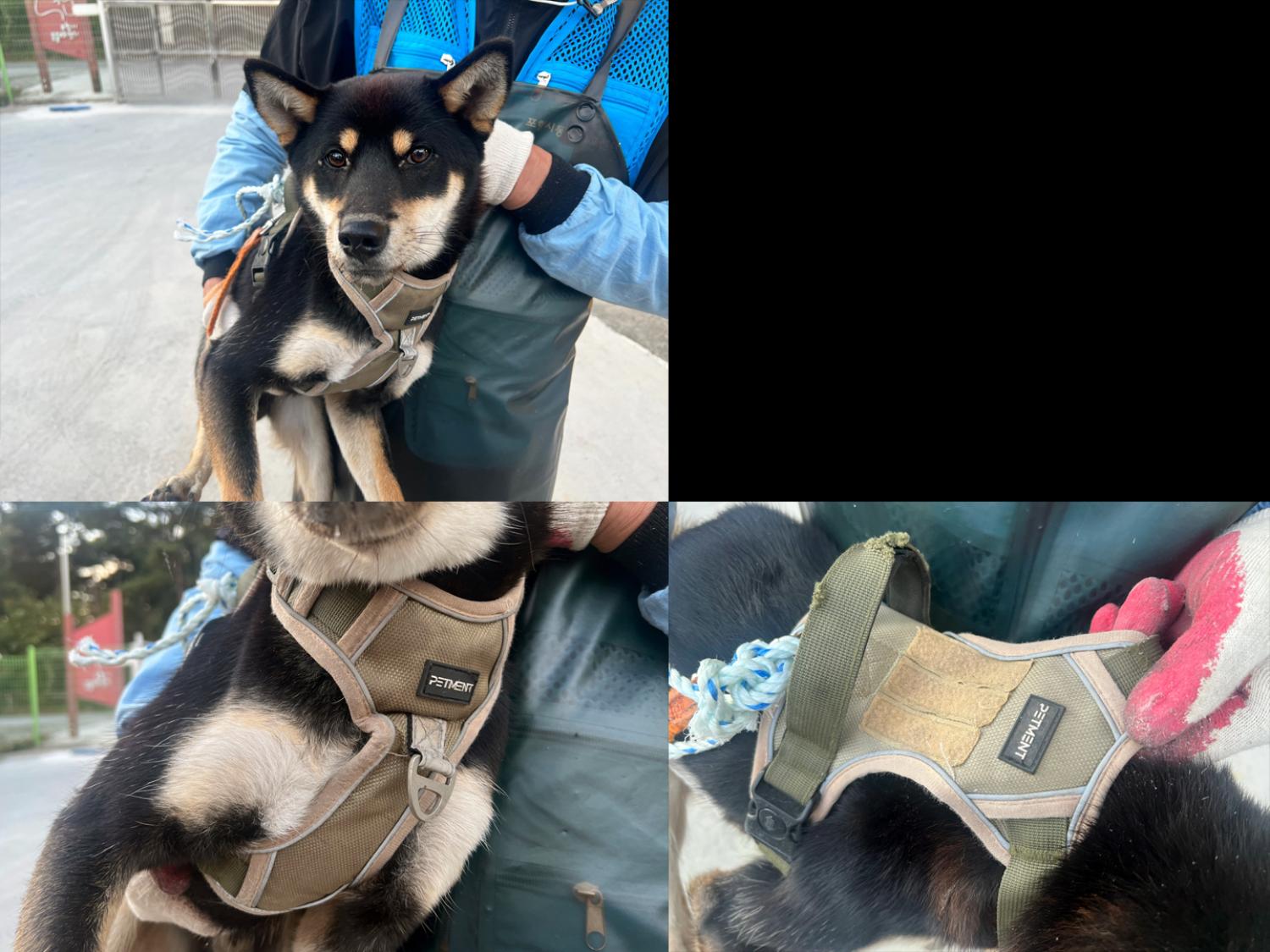 시바 이미지 파일 입니다.