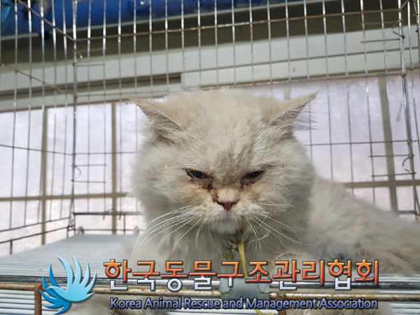 페르시안 이미지 파일 입니다.