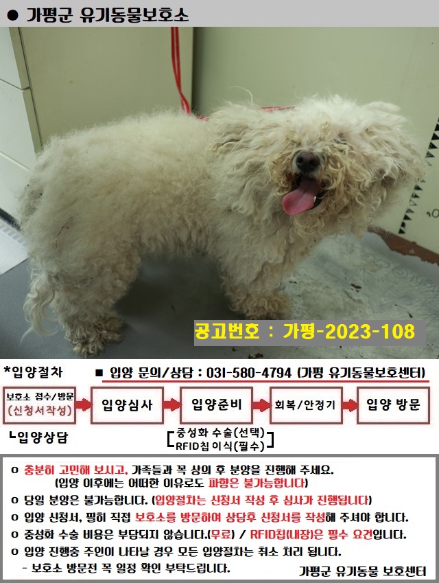 비숑 프리제 이미지 파일 입니다.