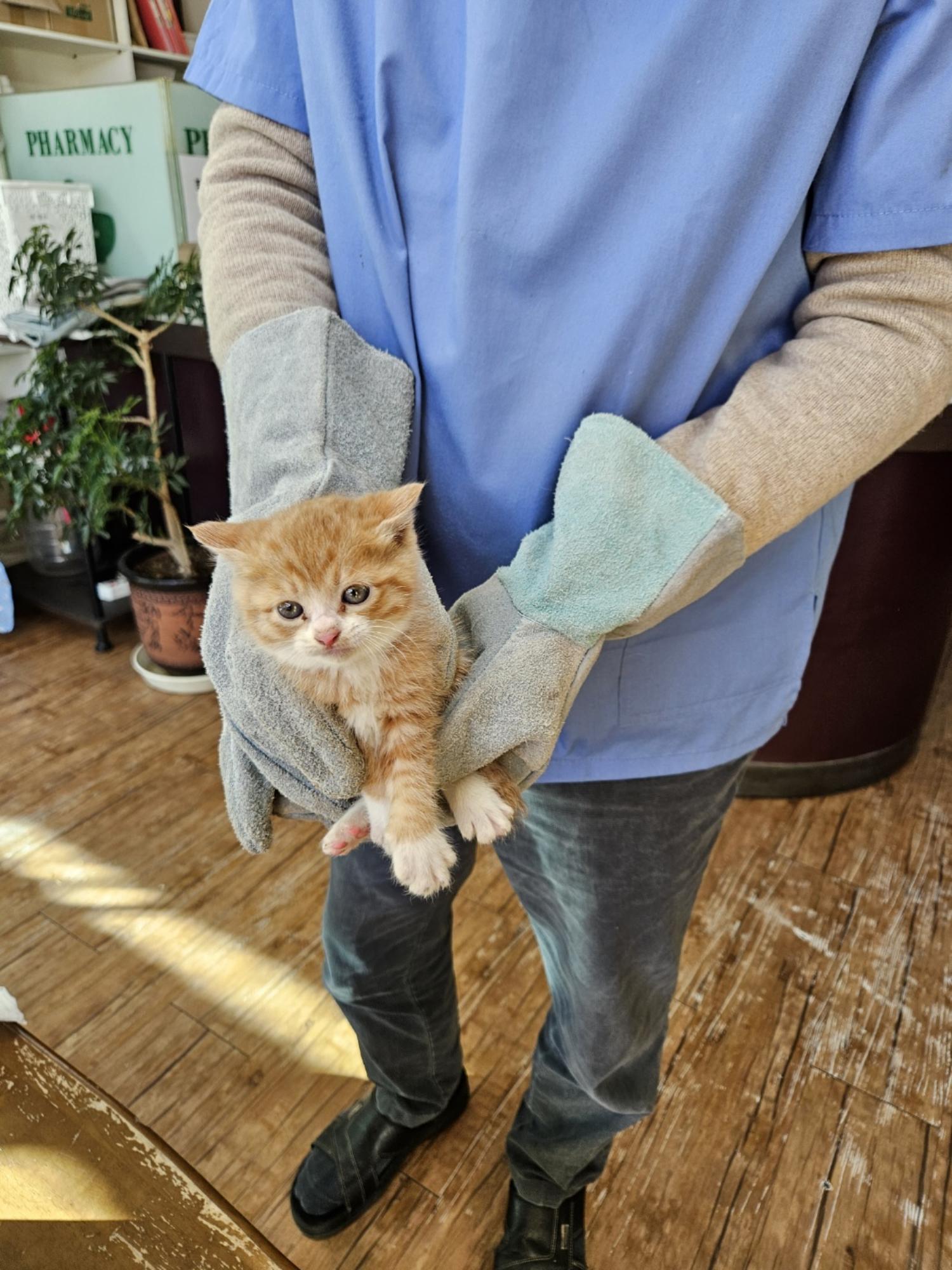 믹스묘 이미지 파일 입니다.
