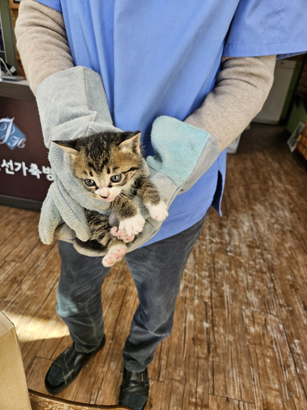 믹스묘 이미지 파일 입니다.