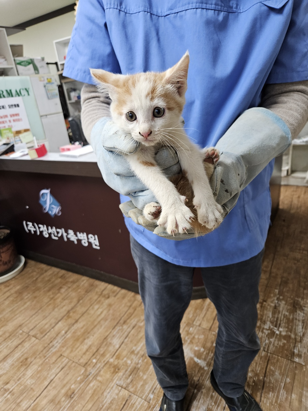 믹스묘 이미지 파일 입니다.