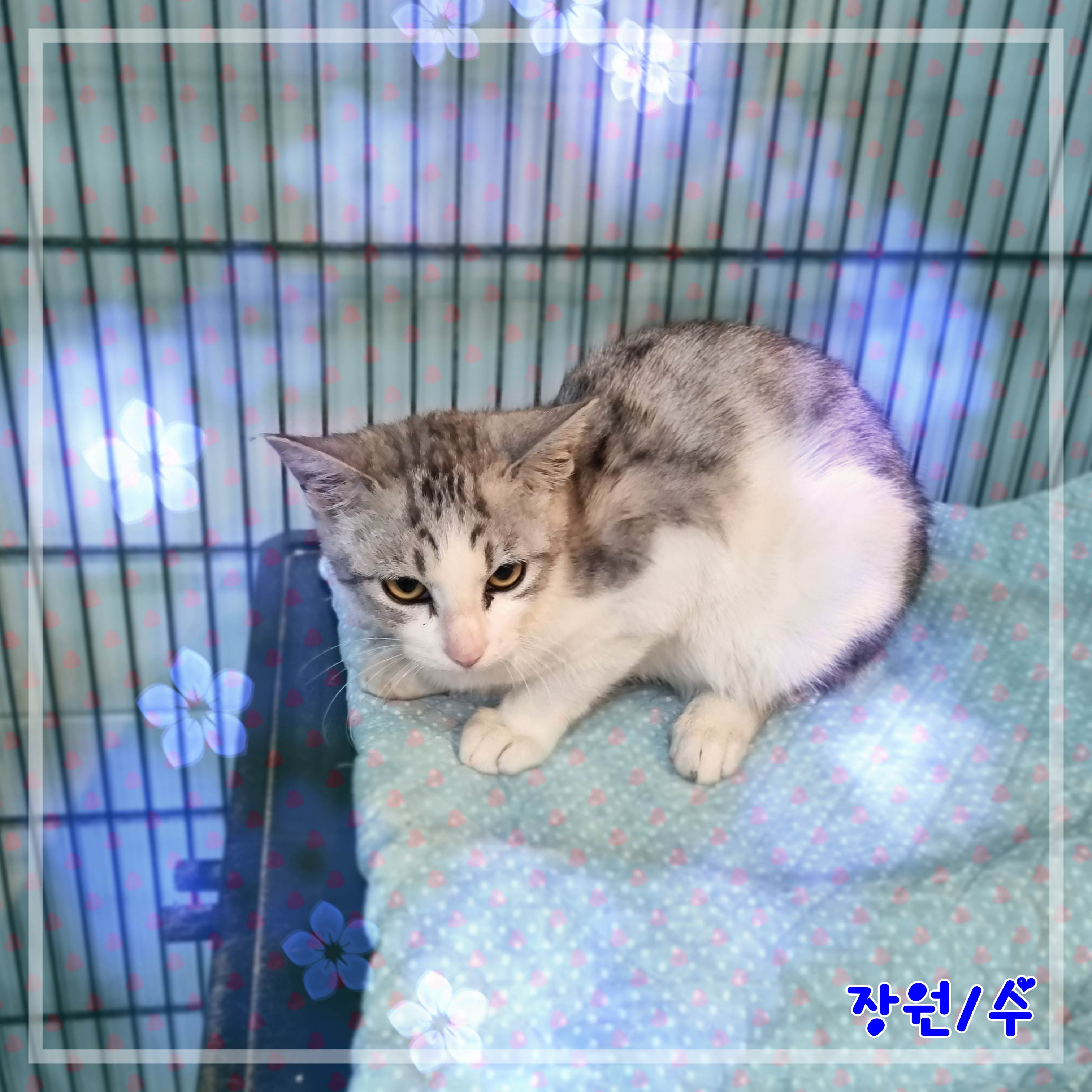 믹스묘 이미지 파일 입니다.
