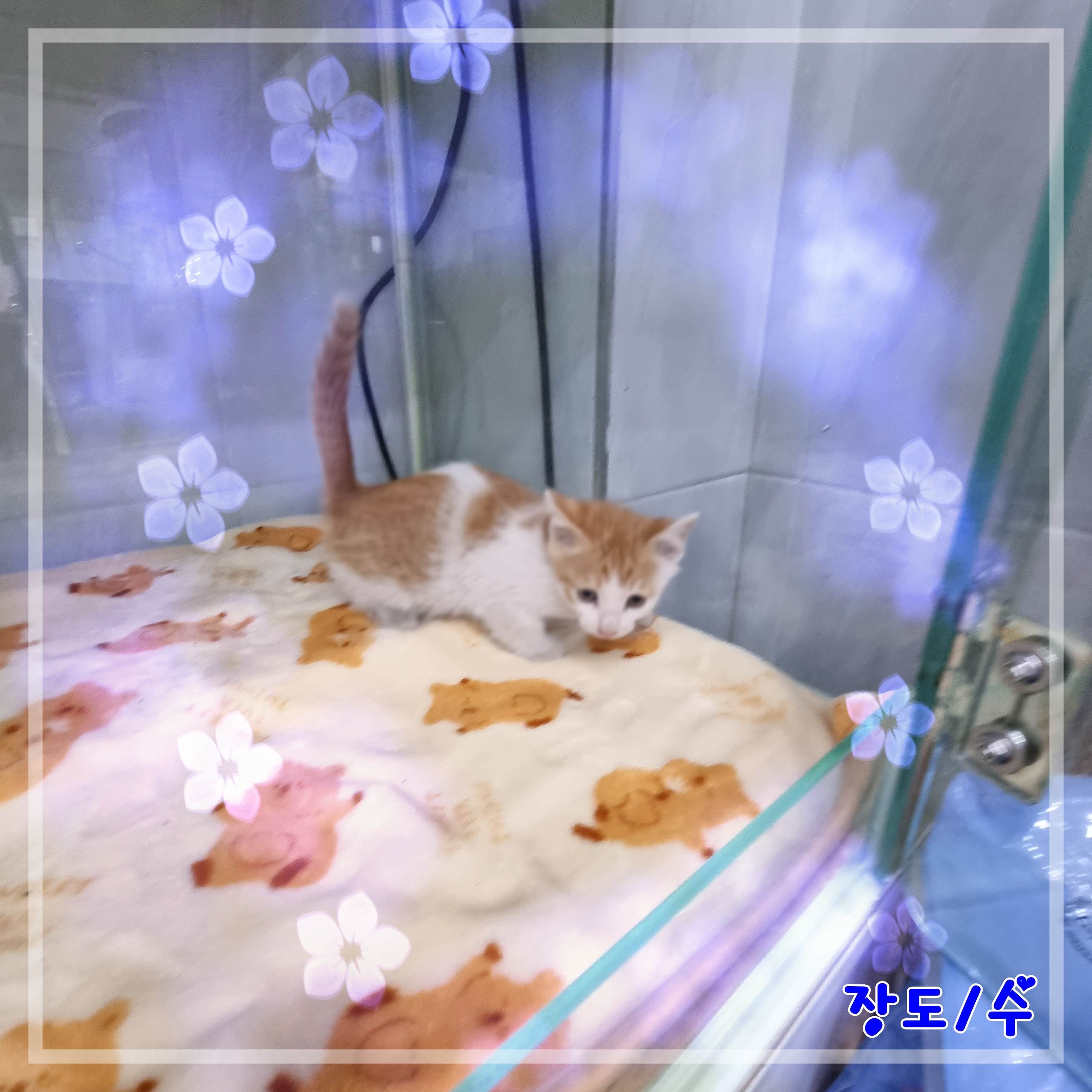 믹스묘 이미지 파일 입니다.