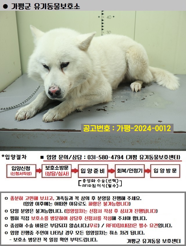 믹스견 이미지 파일 입니다.