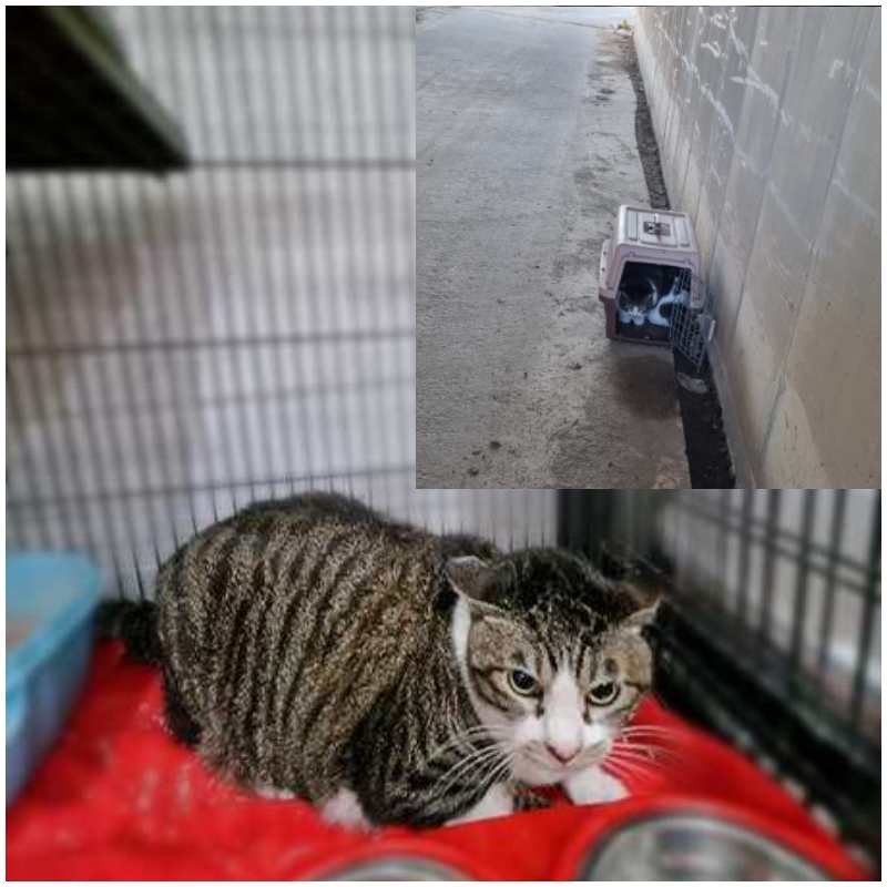 믹스묘 이미지 파일 입니다.