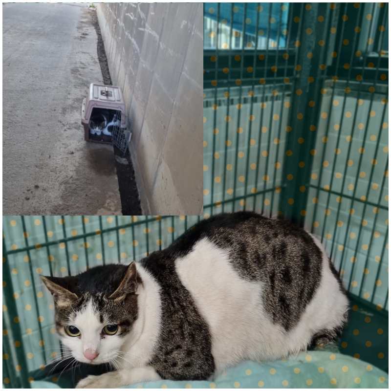믹스묘 이미지 파일 입니다.