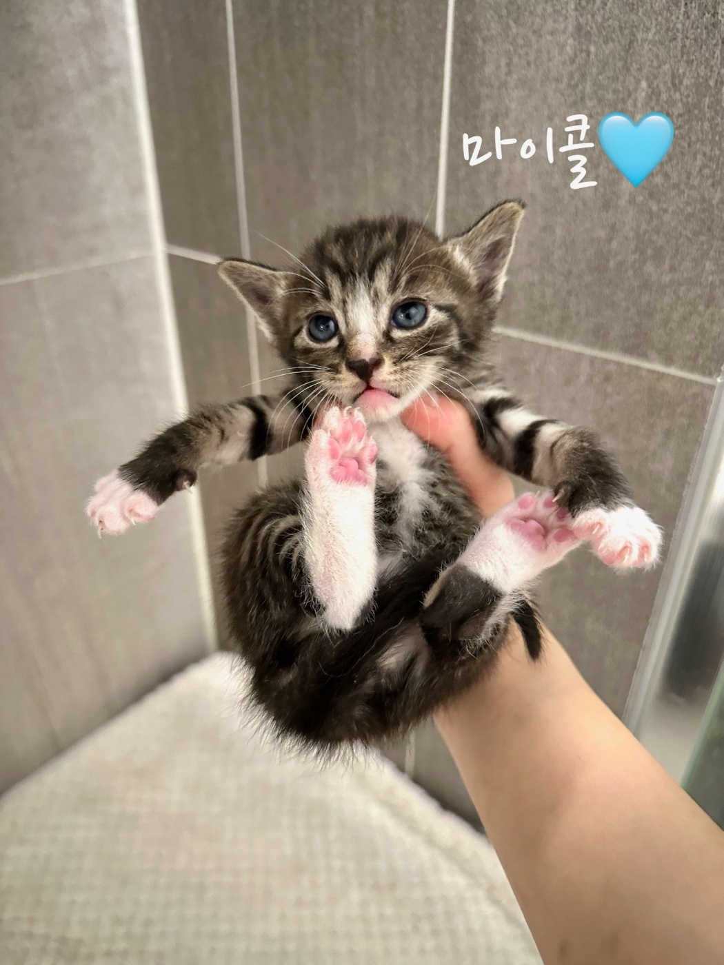믹스묘 이미지 파일 입니다.
