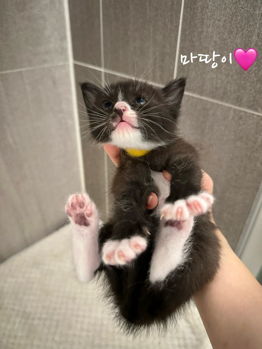 믹스묘 이미지 파일 입니다.