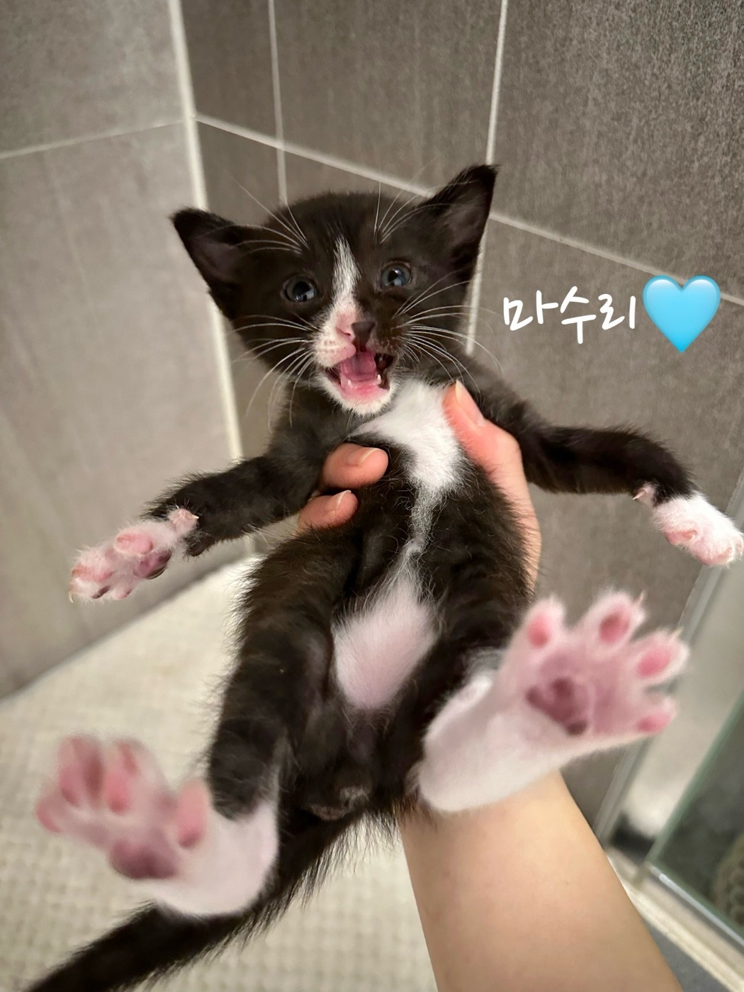 믹스묘 이미지 파일 입니다.
