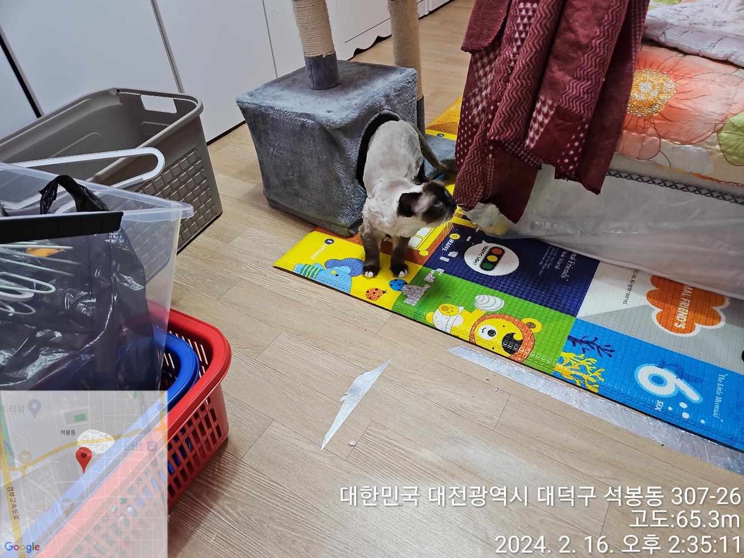 샴 이미지 파일 입니다.