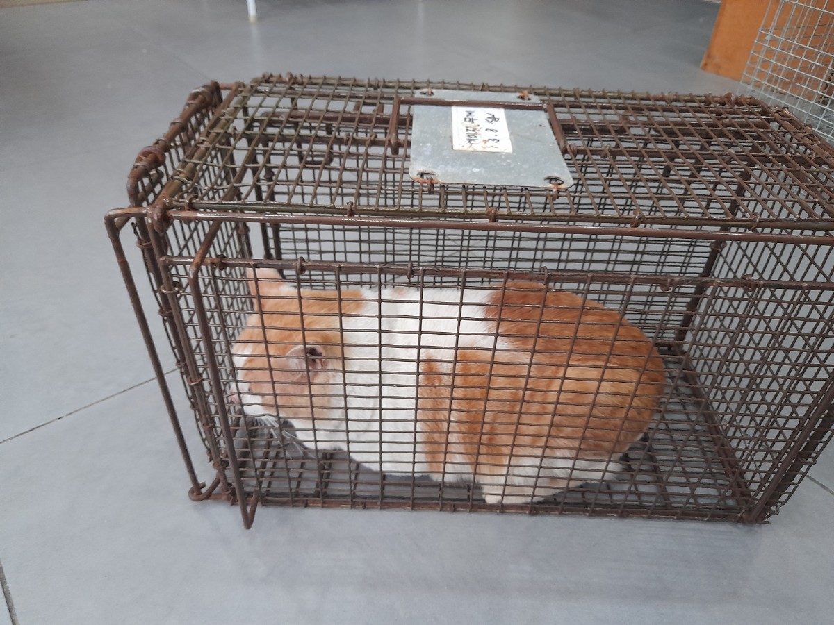 믹스묘 이미지 파일 입니다.