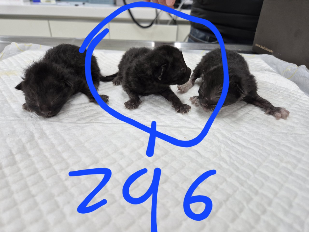 60일미만 믹스묘 외 2 건