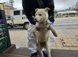 북3리마을 이미지