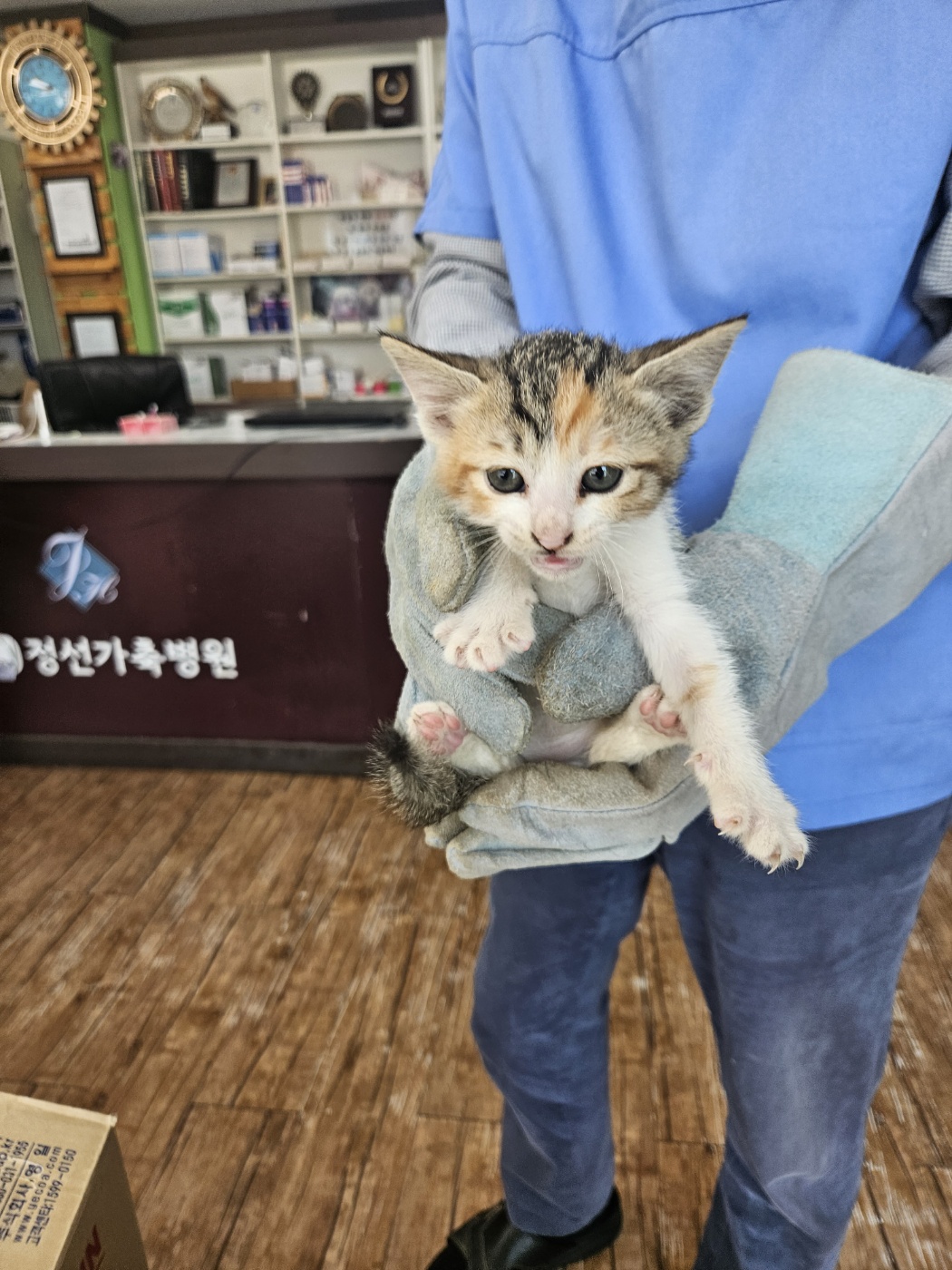 믹스묘 이미지 파일 입니다.