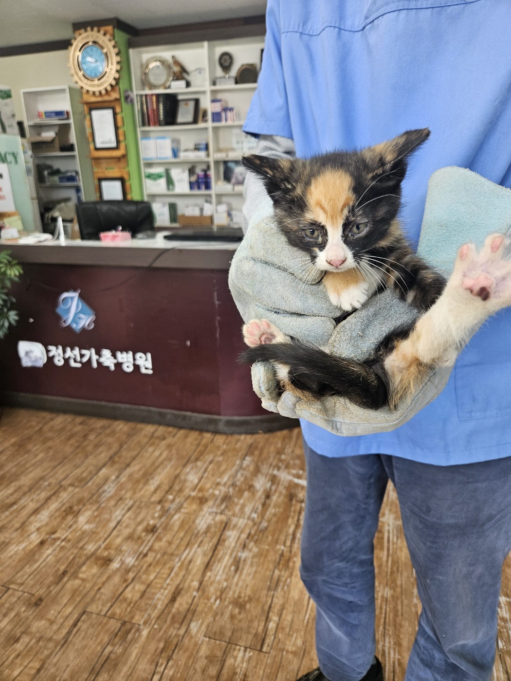 믹스묘 이미지 파일 입니다.