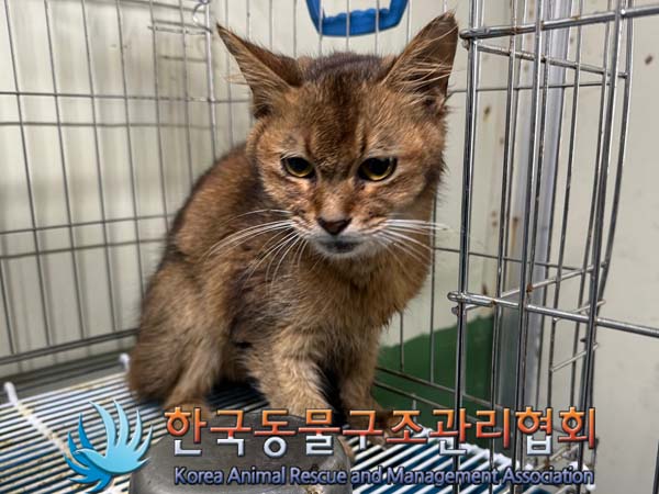 믹스묘 이미지 파일 입니다.