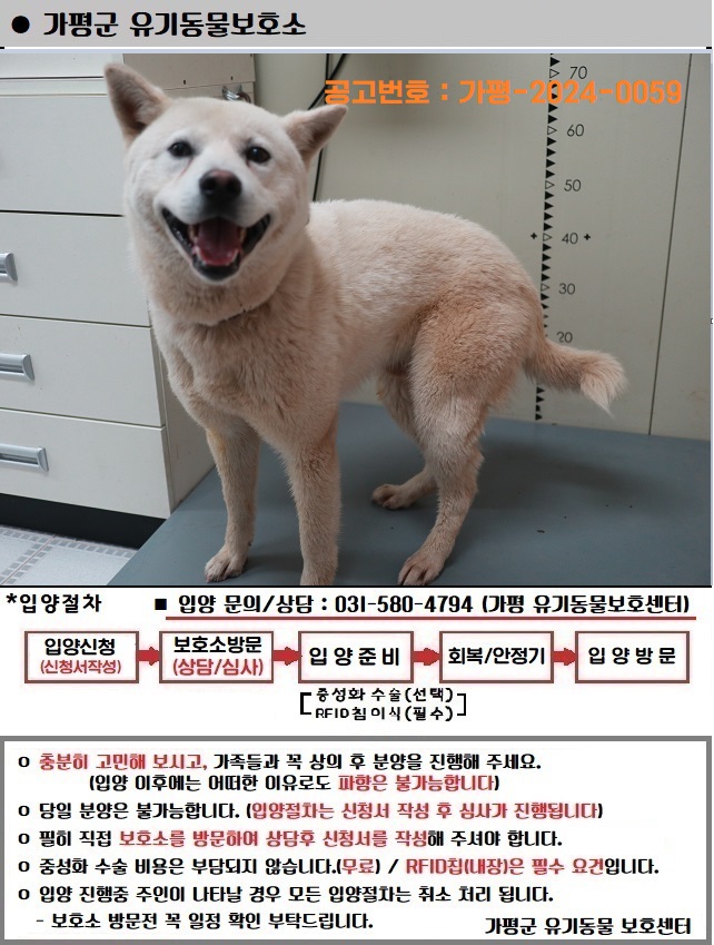 믹스견 이미지 파일 입니다.