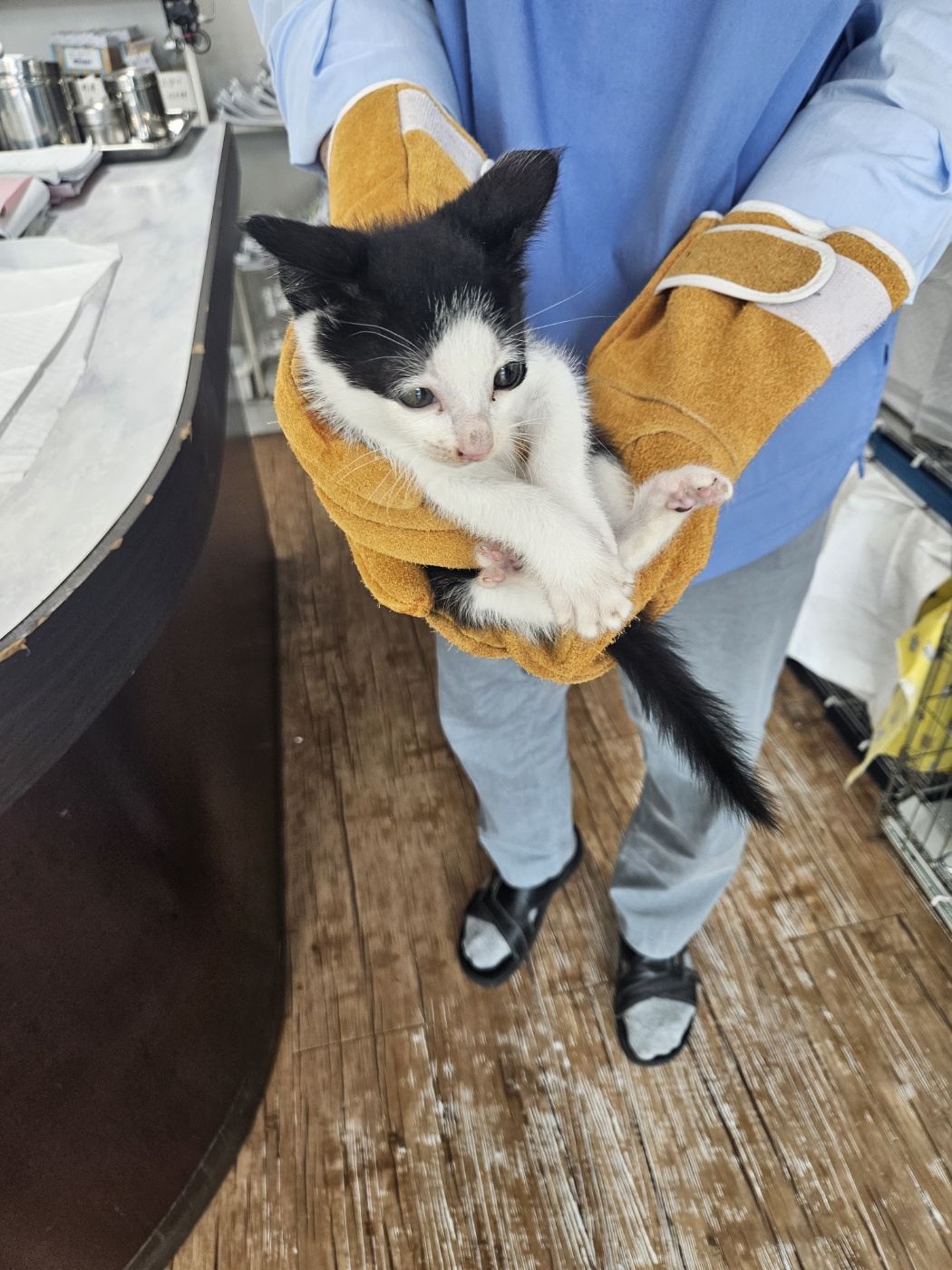 믹스묘 이미지 파일 입니다.