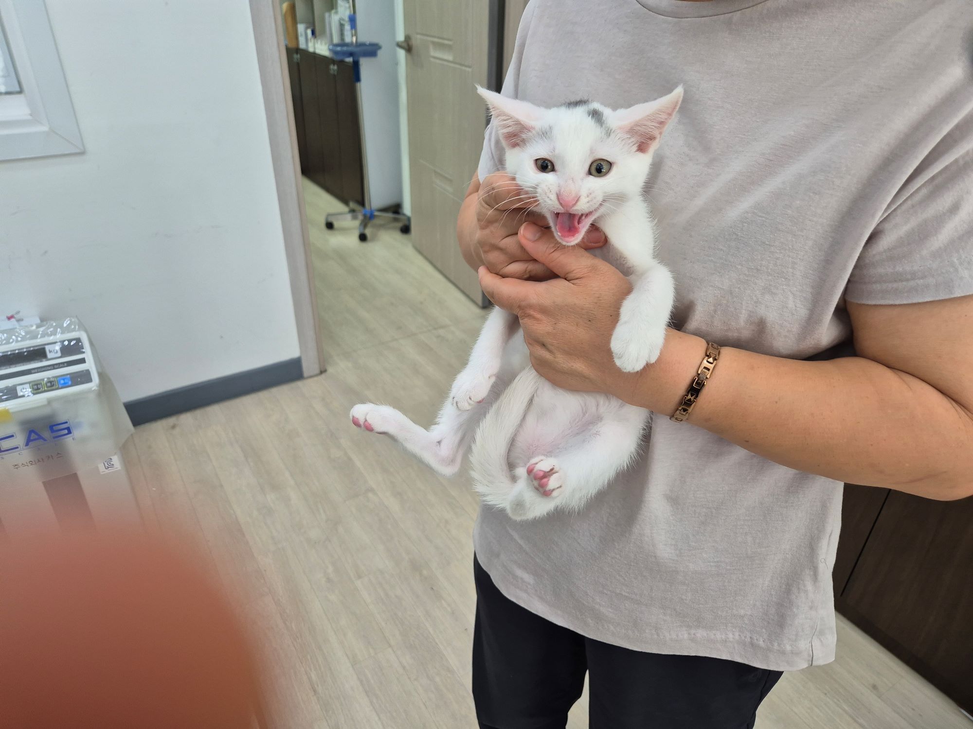 믹스묘 이미지 파일 입니다.