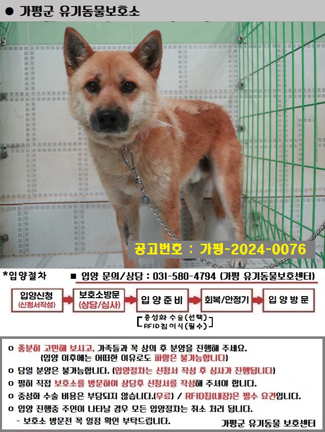 믹스견 이미지 파일 입니다.