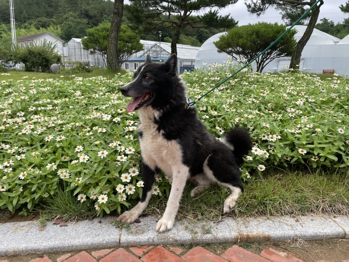 라이카 이미지 파일 입니다.