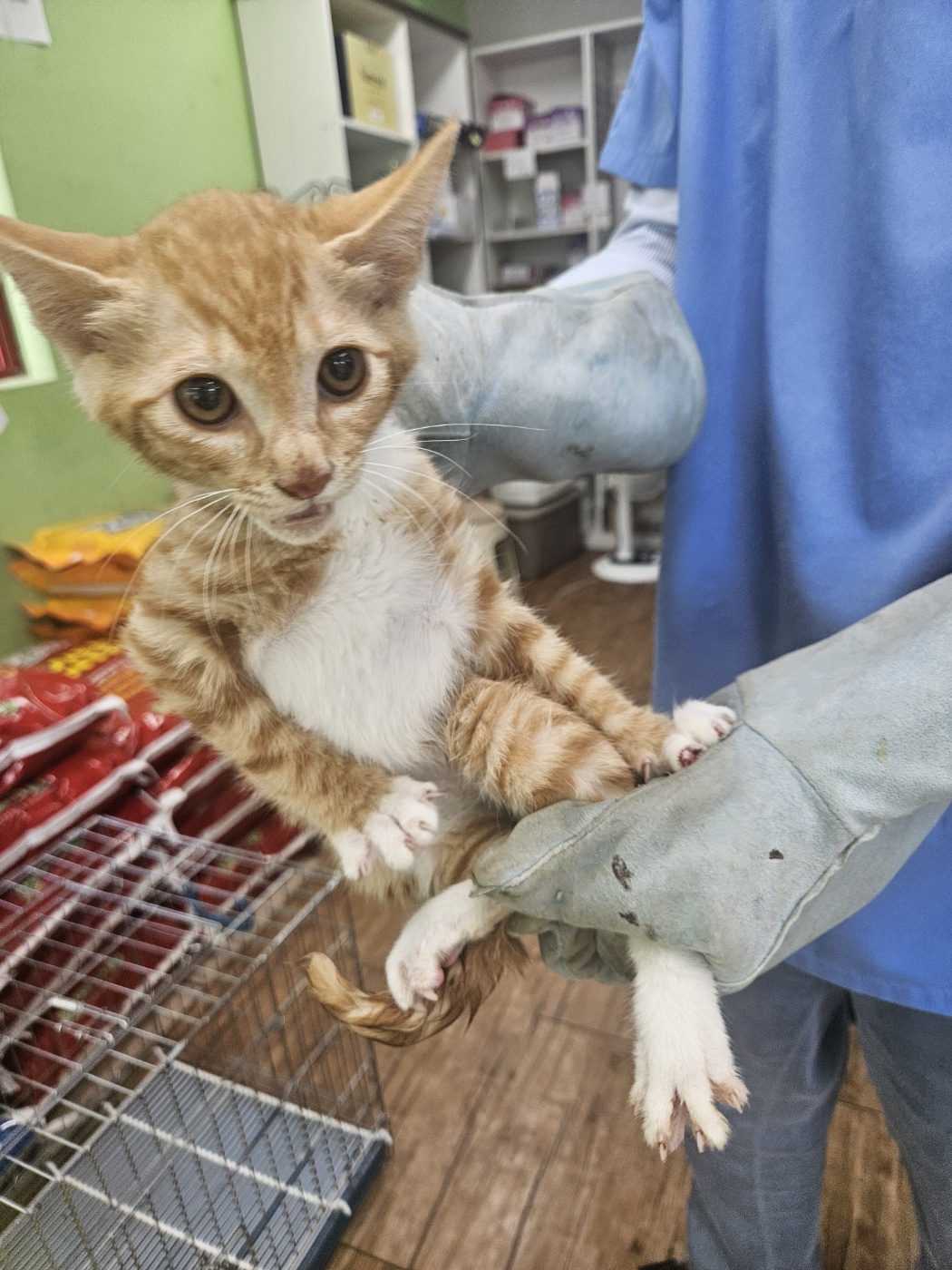 믹스묘 이미지 파일 입니다.