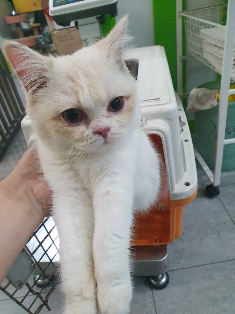 믹스묘 이미지 파일 입니다.