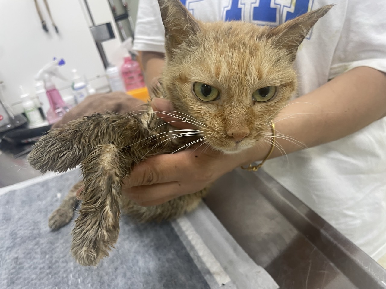 믹스묘 이미지 파일 입니다.