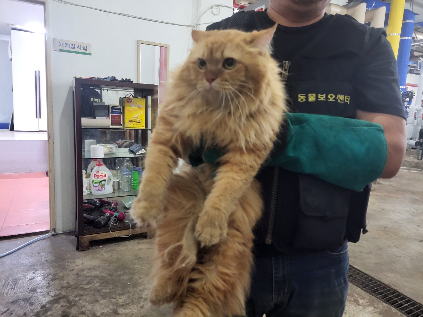 페르시안 이미지 파일 입니다.