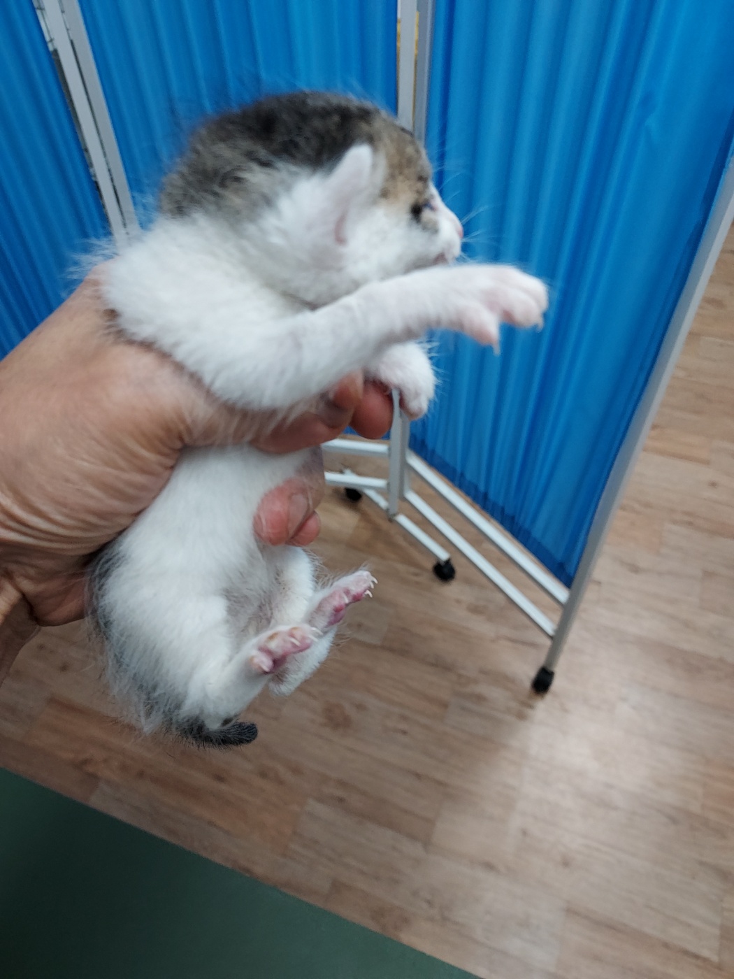 믹스묘 이미지 파일 입니다.