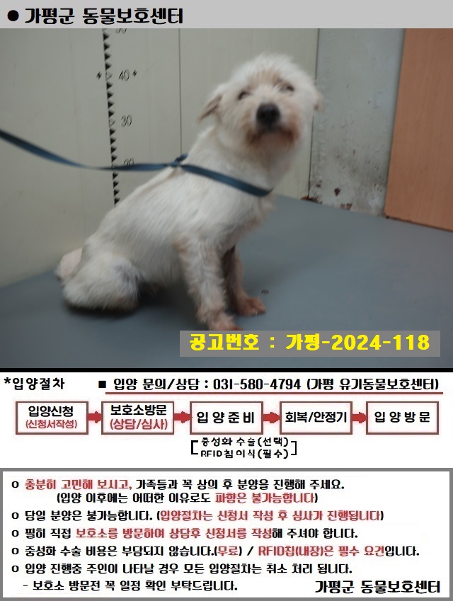 믹스견 이미지 파일 입니다.